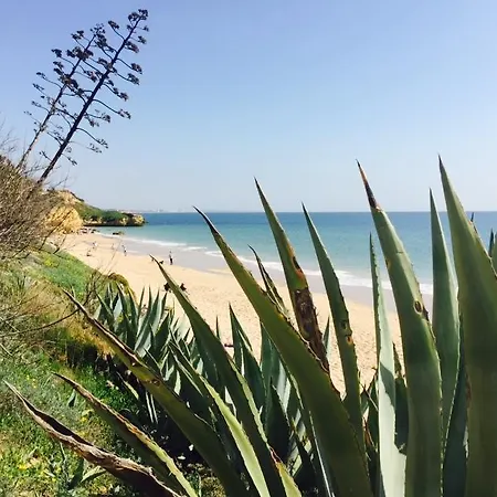 Casa Sol Corcovada Daire Albufeira